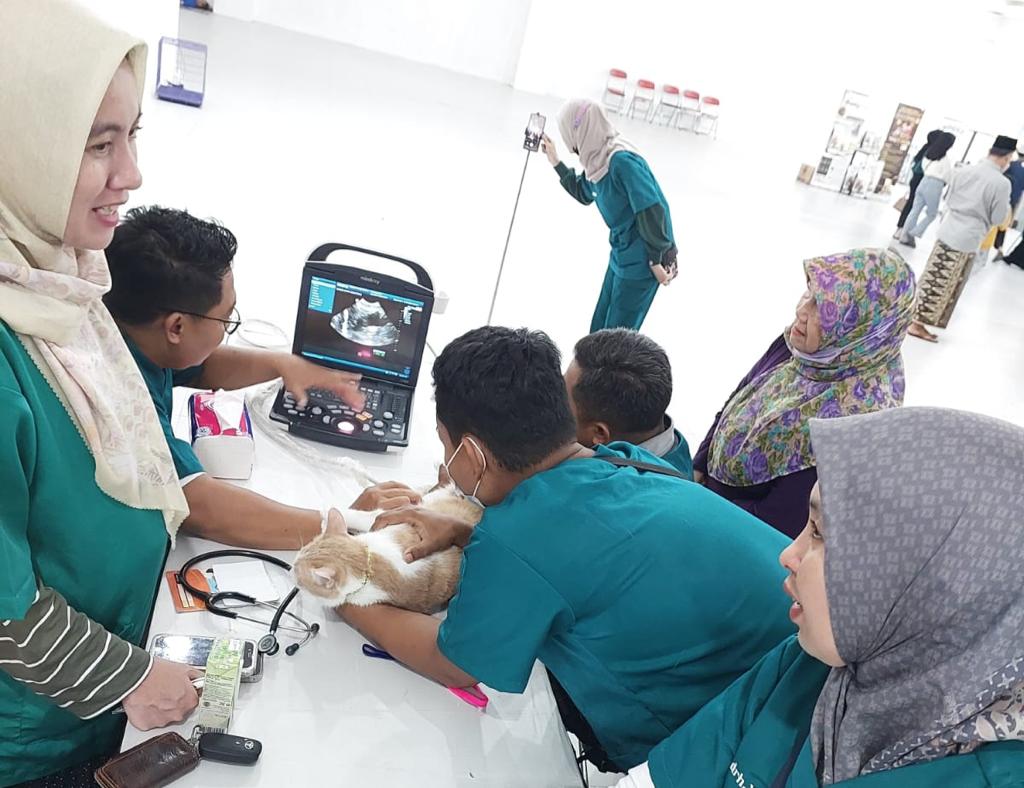dokter hewan di acara cat show