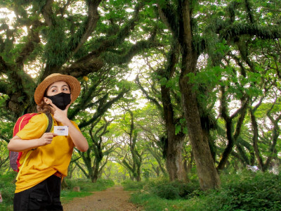 Banyuwangi Level 2, Sudah Vaksin? Yuk Berwisata ke Banyuwangi