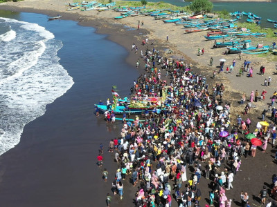 Petik Laut di Pantai Lampon Dipadati Ribuan Pengunjung