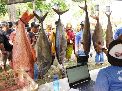 Keren! Ikan Seberat 21,2 kg Menjadi Tangkapan Terbesar Banyuwangi Fishing Festival 2023