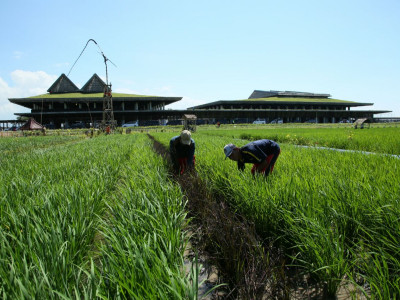 Selamat...!!! Bandara Banyuwangi Raih Sertifikasi Bandara Ramah Lingkungan Pertama di Indonesia
