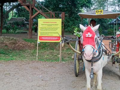 Respon Keluhan, Disbudpar Banyuwangi Terjun Langsung Benahi Layanan Wisata De-Djawatan