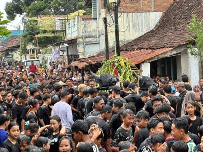 Mbludak, Ribuan Pengunjung Padati Tradisi Kebo-keboan Boyolangu 2026
