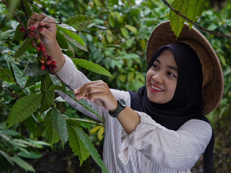 Yuk Ngopi Bareng di Pesta Rakyat Kopi Gombengsari!