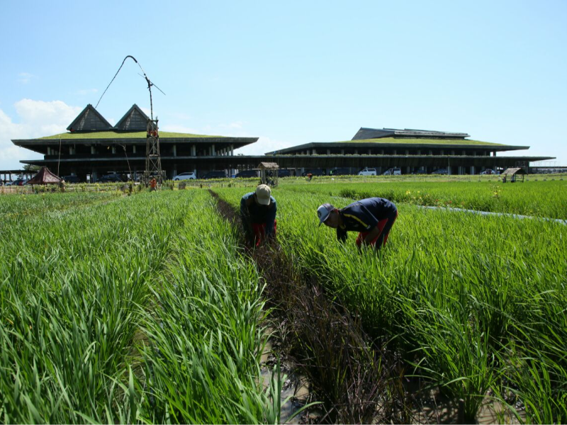 Selamat...!!! Bandara Banyuwangi Raih Sertifikasi Bandara Ramah Lingkungan Pertama di Indonesia