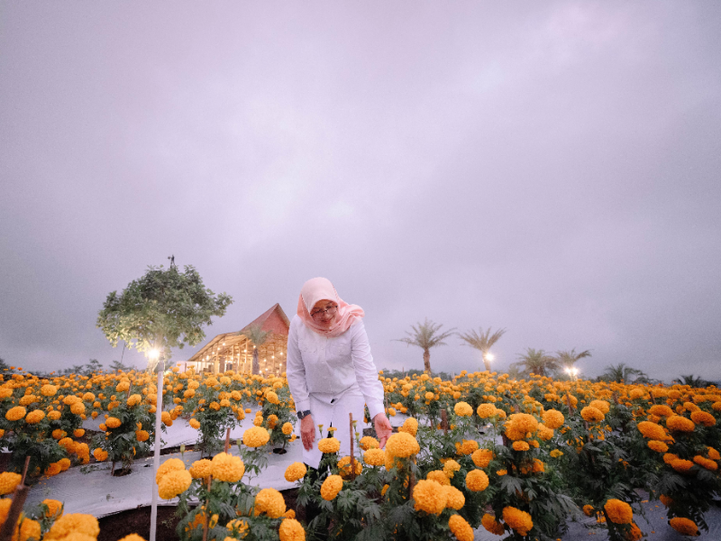 Agrowisata Tamansuruh Sajikan Atraksi Wisata Paket Lengkap