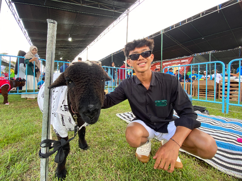 Gen-Z di Banyuwangi Ternak Domba Seharga Puluhan Juta