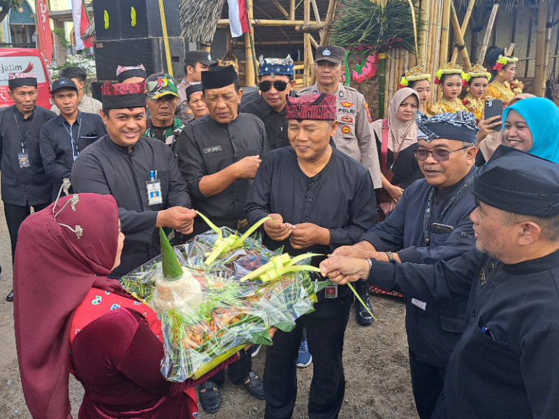 Tradisi Ngerujaki: Ritual Tingkeban Padi di Banyuwangi