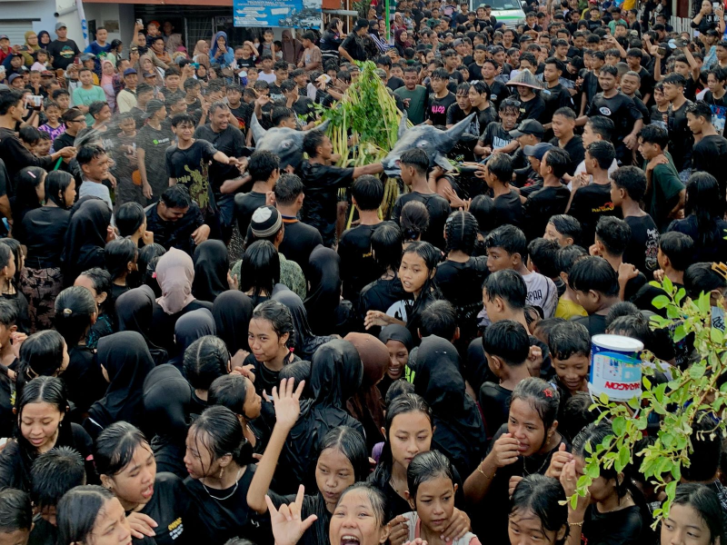 Tradisi Kebo-keboan Warnai Boyolangu Culture Festival 2025 di Banyuwangi