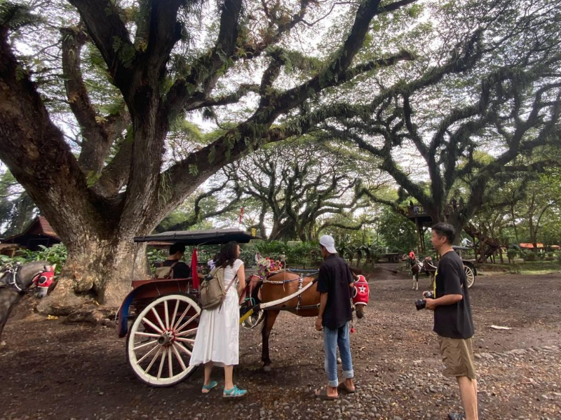 Libur Panjang Hari Raya Waisak, Banyuwangi Jadi Jujukan Para Pelancong