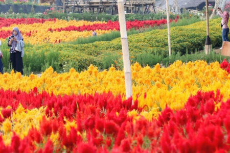 Agrowisata Tamansuruh (AWT)