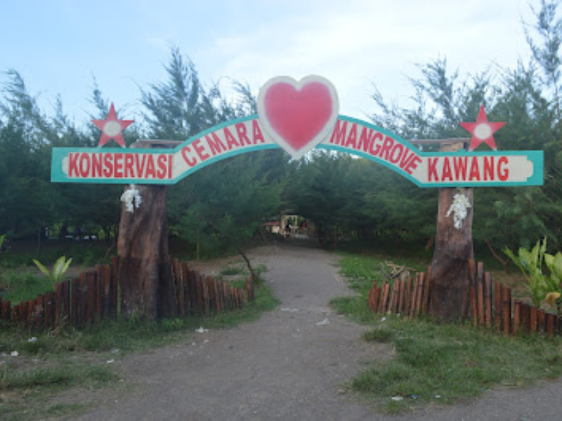 Konservasi Mangrove Teluk Pangpang Wringinputih