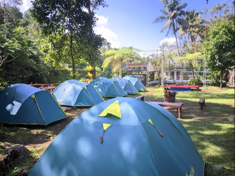 Pinus camp Banyuwangi
