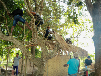 Masyarakat Olehsari Gotong Royong "Becik-Becik Pondok" Buyut Ketut