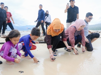 Libur Lebaran 2025, Gubernur Khofifah Lepas Puluhan Tukik di Pulau Tabuhan Banyuwangi