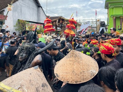 Ribuan Warga Tumpah Ruah Saksikan Ritual Adat Kebo-keboan di Banyuwangi