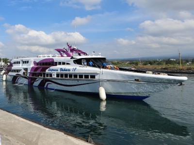 Catat Tanggalnya! Kapal Cepat Rute Banyuwangi-Denpasar Kembali Berlayar di Awal 2026