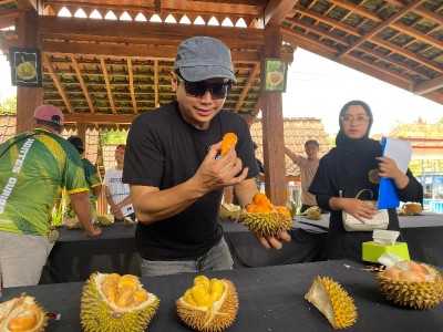 Berburu Raja Buah di Kaki Gunung Raung, Sensasi Legit Durian Fest Banyuwangi 2026 Diserbu Pengunjung
