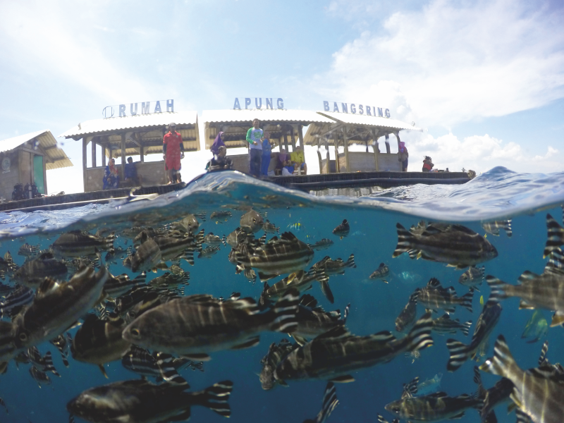 Menelisik Wisata Bahari Jalur Utara Banyuwangi