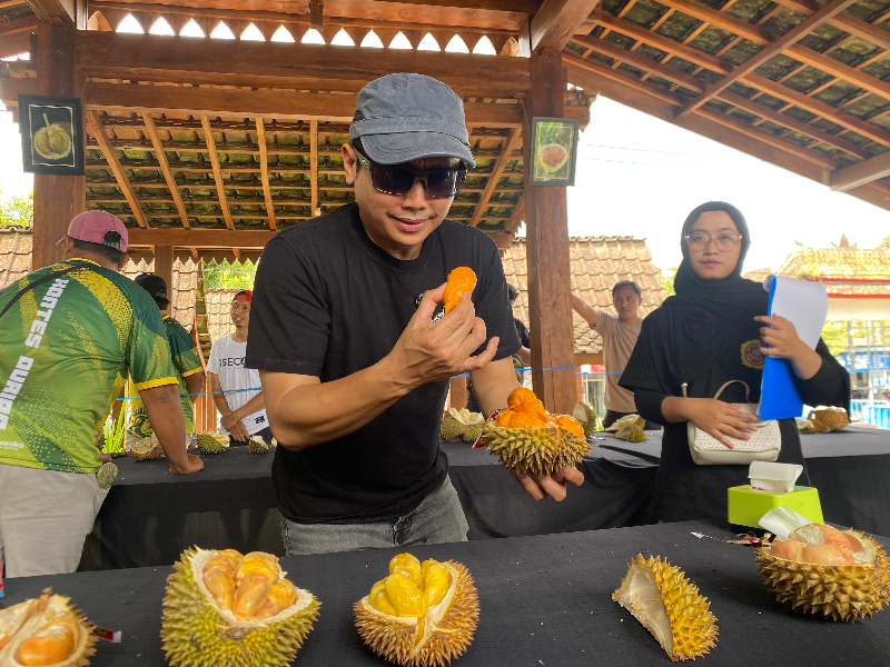 Berburu Raja Buah di Kaki Gunung Raung, Sensasi Legit Durian Fest Banyuwangi 2026 Diserbu Pengunjung