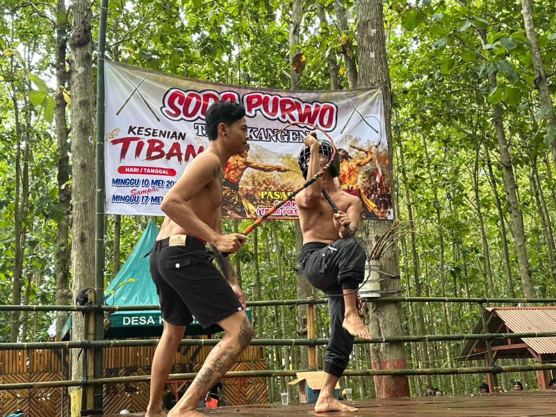 Lestarikan Budaya, Warga Purwoharjo Banyuwangi Gelar Tradisi Cambuk Tiban